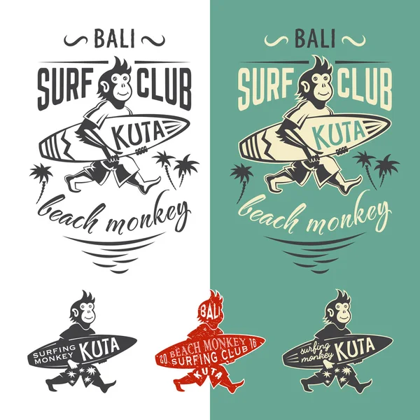 Emblème du club de surf singe — Image vectorielle