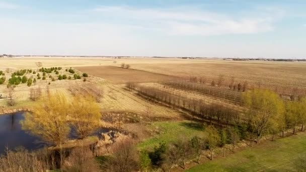 Aerial agriculture farm field landscape — Stock Video