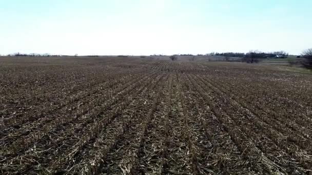 Luchtfoto landbouw boerderij veld landschap — Stockvideo