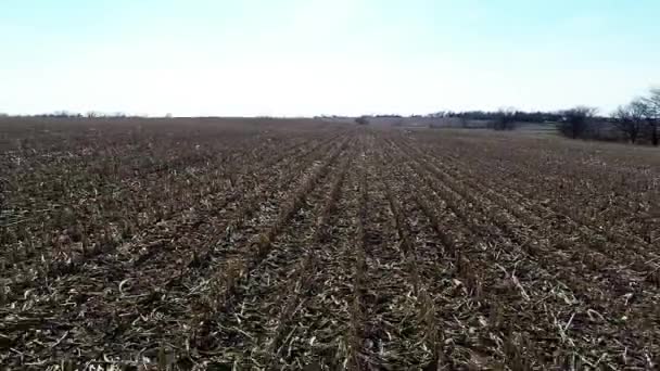 Vzdušný zemědělství farma pole krajina — Stock video