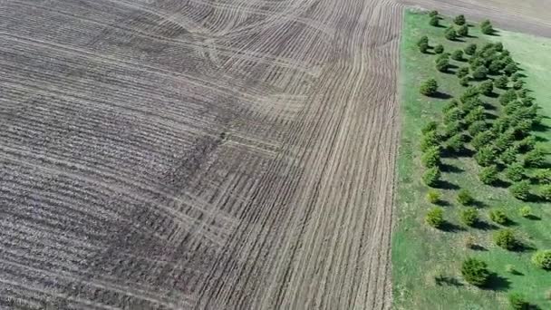 Aerial agriculture farm field landscape — Stock Video