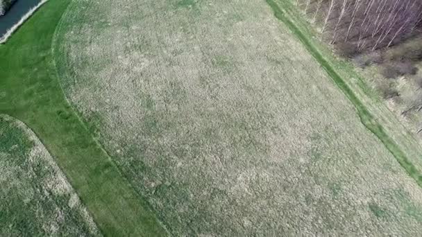 Luchtfoto landbouw boerderij veld landschap — Stockvideo