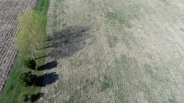 Agricultura aérea granja campo paisaje — Vídeos de Stock