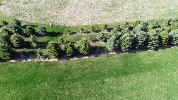 Aerial agriculture farm field landscape — Stock Video