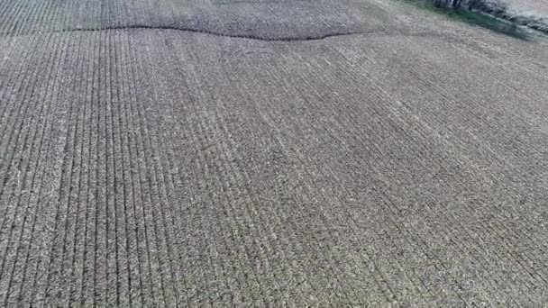 Agricultura aérea granja campo paisaje — Vídeo de stock