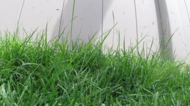 Çim düzeltici kesme uzun otların