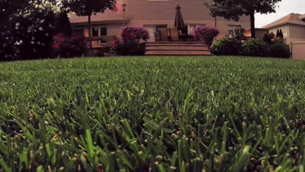 Человек стрижет траву во дворе газонокосилкой — стоковое видео