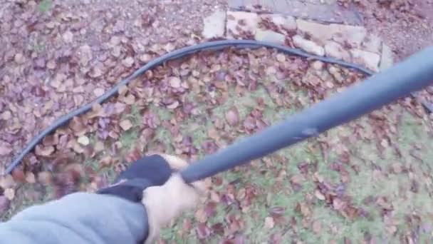 Trabajo de jardinería rastrillar hojas de otoño en el césped — Vídeos de Stock