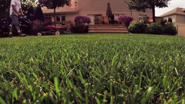 Чоловік ріже траву у дворі з газонокосаркою — стокове відео