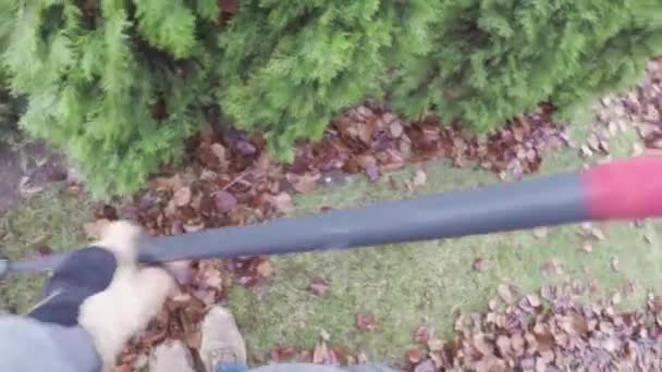 芝生の上を秋に落ち葉の庭仕事 — ストック動画
