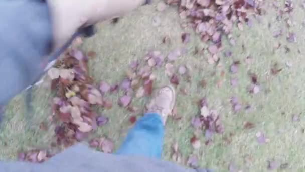 Yard work raking autumn leaves on lawn — Stock Video