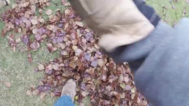 Двор работает сгребать осенние листья на газоне — стоковое видео