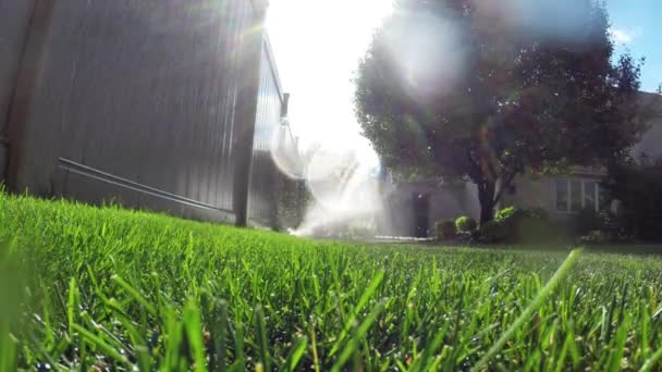 Jardin système d'irrigation automatique arrosage pelouse — Video