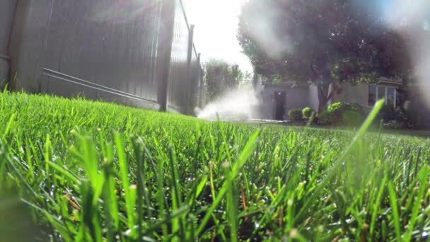 Zahradní automatický zavlažovací systém zavlažování trávníku — Stock video