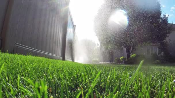 Automatyczne nawadnianie ogrodów podlewanie trawnika — Wideo stockowe