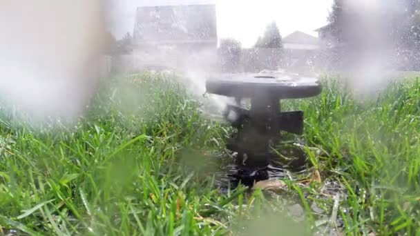 Автоматическая система полива сада, полив газона — стоковое видео