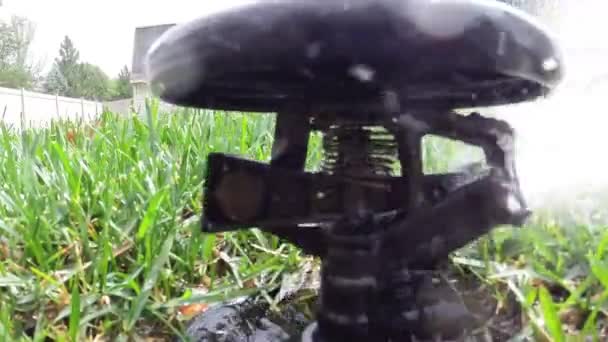 芝生に水をまく庭自動灌漑システム — ストック動画