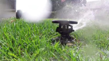 otomatik Bahçe Sulama sistemi çim sulama