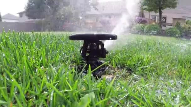 Garden automatic irrigation system watering lawn — Stock Video