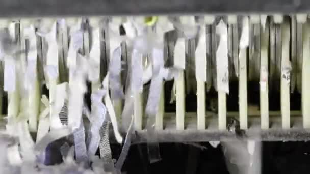 Broyeur de papier hachant et déchirant des documents — Video