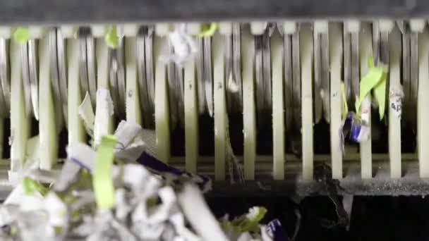 Papier shredder hakken up en scheuren documenten — Stockvideo