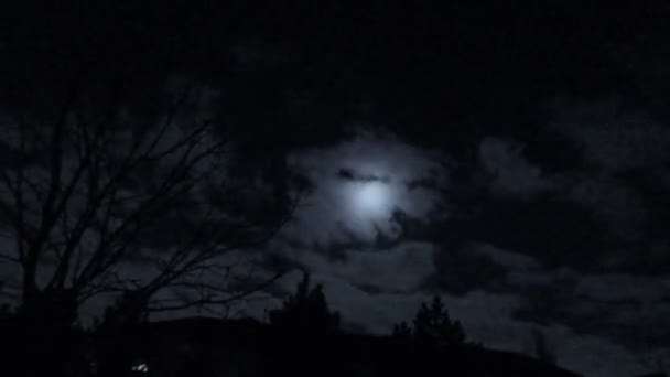 Nubes moviéndose bajo el lapso de tiempo de luna llena — Vídeo de stock