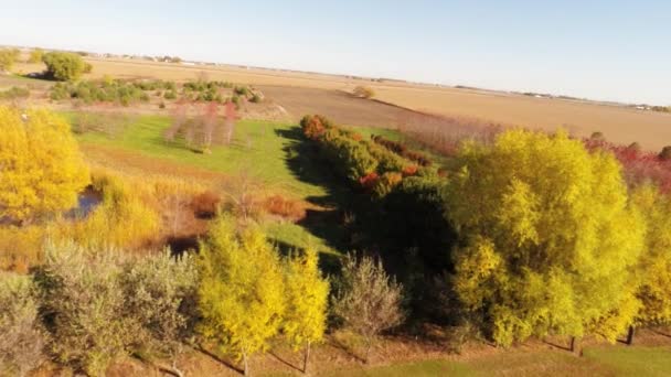 Aerial agriculture farm field landscape — Stock Video