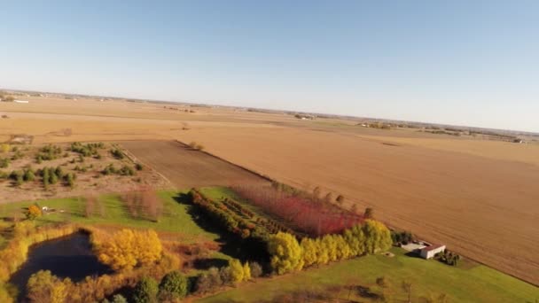 Aerial agriculture farm field landscape — Stock Video