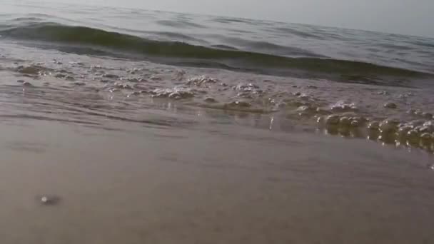 Olas en una playa de arena frente al lago Michigan — Vídeos de Stock