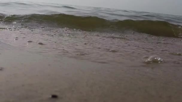 Κύματα σε μια παραλία με άμμο λίμνη Μίτσιγκαν προκυμαία — Αρχείο Βίντεο