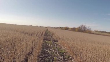 Hava Tarım Çiftlik alan manzara