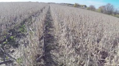 Hava Tarım Çiftlik alan manzara