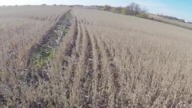 Hava Tarım Çiftlik alan manzara