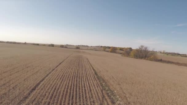 Agricoltura aerea campo agricolo paesaggio — Video Stock