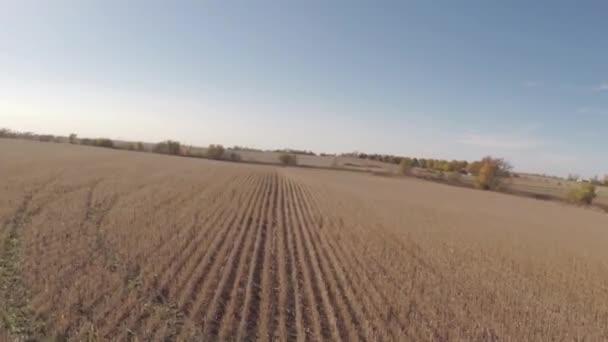 Aerial jordbruk farm fältet landskap — Stockvideo