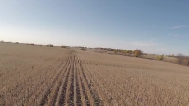 Agricultura aérea granja campo paisaje — Vídeos de Stock