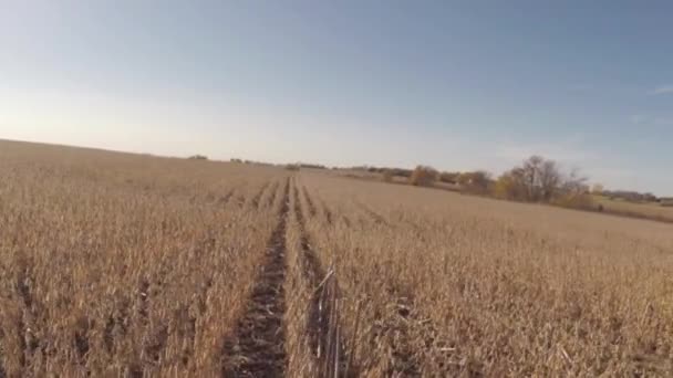 Aerial jordbruk farm fältet landskap — Stockvideo