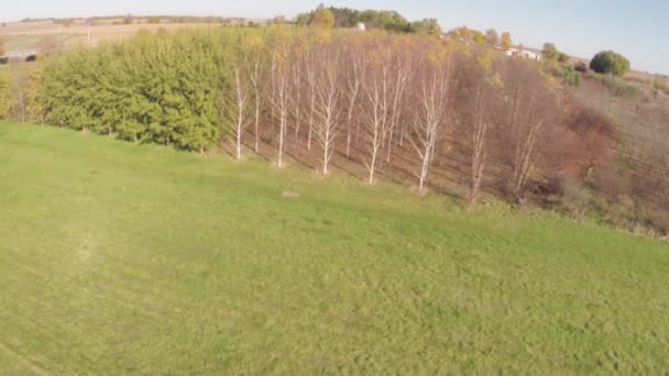 Luchtfoto landbouw boerderij veld landschap — Stockvideo