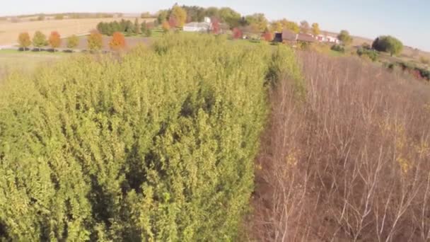ภูมิทัศน์ไร่เกษตรทางอากาศ — วีดีโอสต็อก