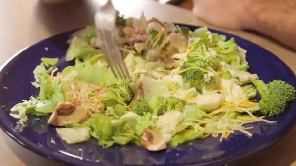 Time lapse Man eating dinner salad prepared with fresh vegetables and lettuce — Stock Video