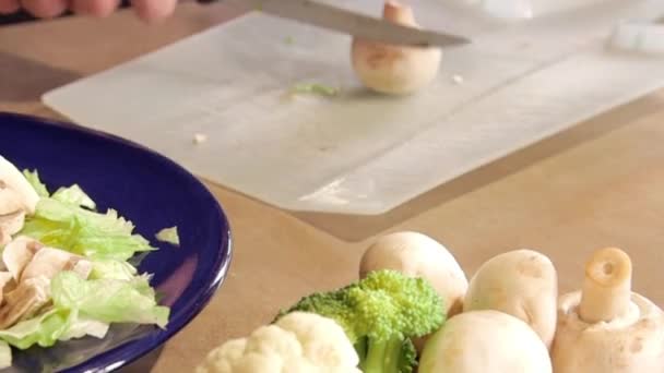 Hortalizas frescas en rodajas preparadas para ensalada — Vídeo de stock