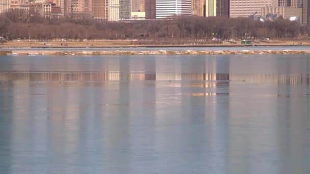 Chicago skyline reflexionando sobre el hielo — Vídeo de stock