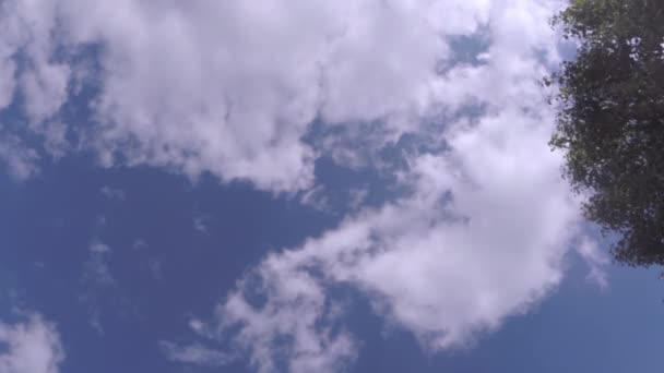 Mraky táhnou napříč jasně modré obloze — Stock video