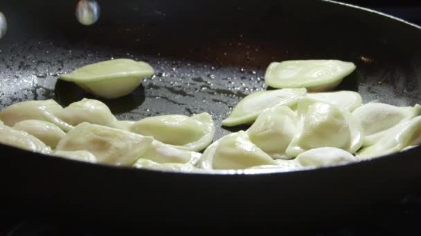 Cuisson des boulettes de perogi dans une poêle sur le four de la cuisinière — Video