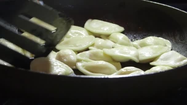 Cuisson des boulettes de perogi dans une poêle sur le four de la cuisinière — Video