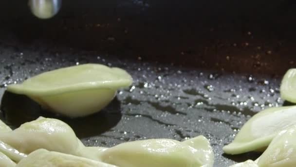 Cocinar albóndigas de perogi en sartén sobre horno de fogones — Vídeos de Stock