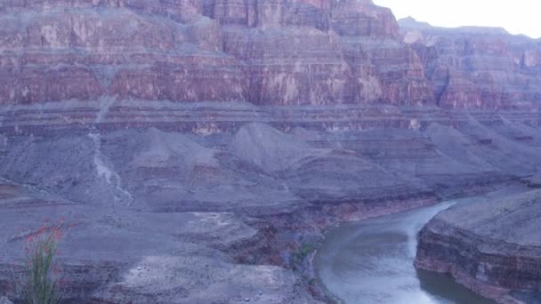 Vue depuis le sol dans le Grand Canyon — Video