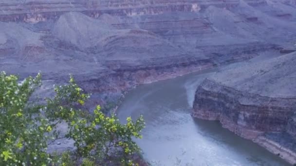 Uitzicht vanaf de grond in de Grand Canyon — Stockvideo