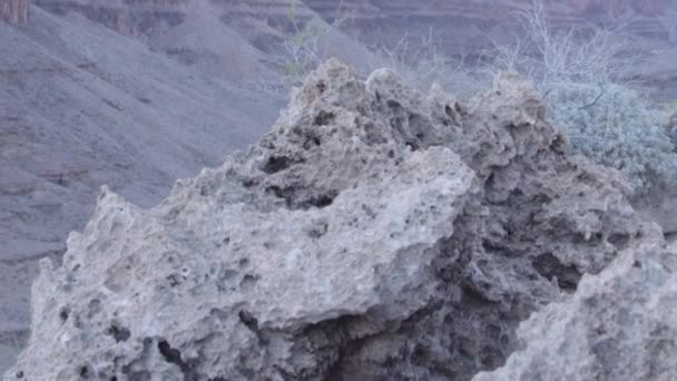 Uitzicht vanaf de grond in de Grand Canyon — Stockvideo