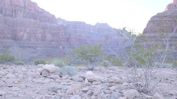 Δείτε από το έδαφος στο Grand Canyon — Αρχείο Βίντεο